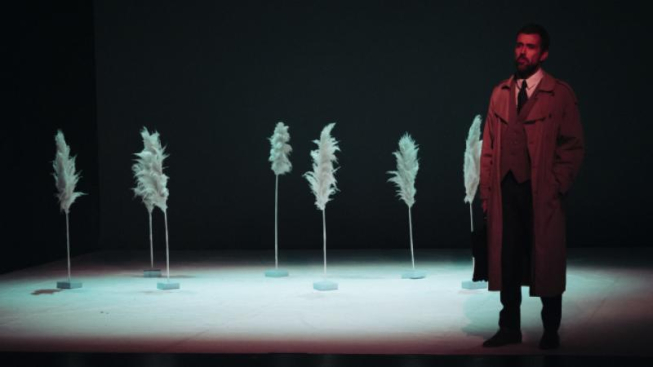 Segundo Acto, espetáculo de fantasia do português Carlos J. Pessoa