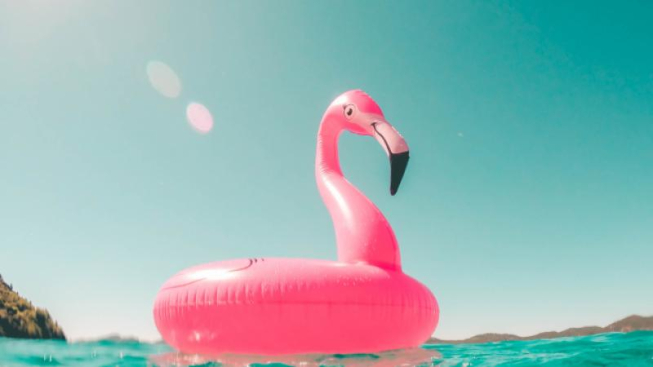 Unsplash - Vicko Mozara