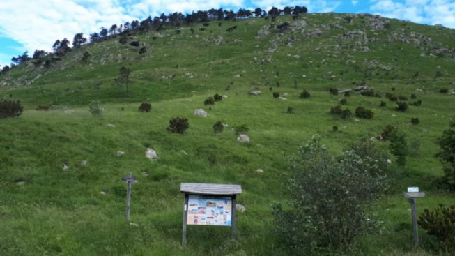 Facebook.com/maremontiarenzano