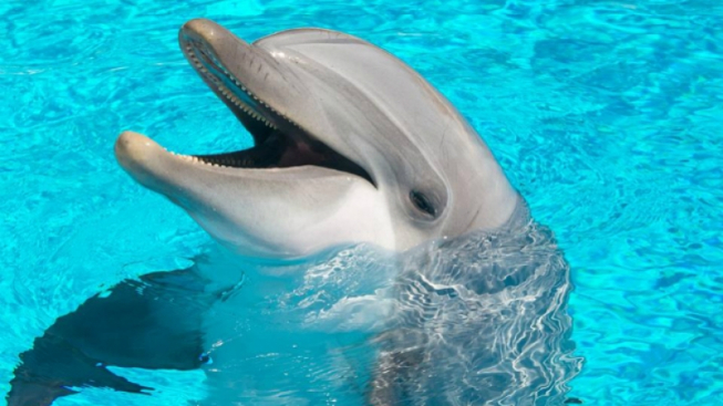 facebook.com/acquariodigenova