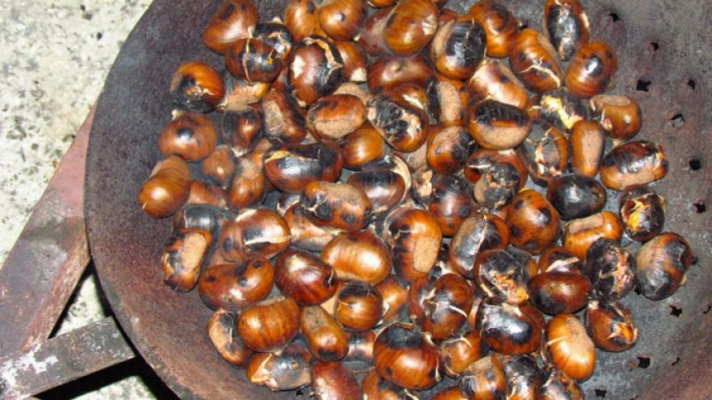 Wikimedia Commons - Domenico Marinelli