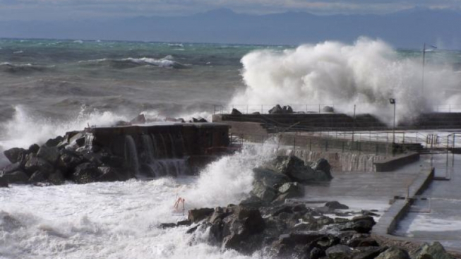 Patano, wikipedia commons