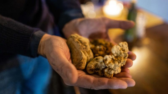 Facebook.com/CivSarzano