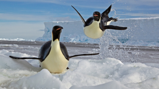 ©Cristina Mittermeier