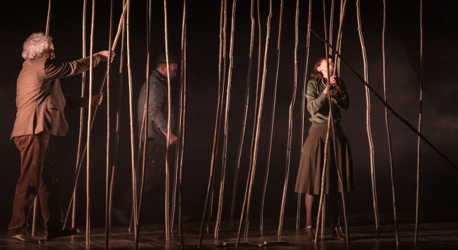 © Vincenza Coppolecchia