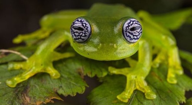 Foto di Emanuele Biggi
