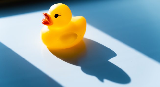 © S. Tsuchiya / Unsplash