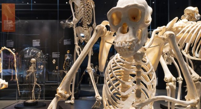 © Andrea Martiradonna / courtesy Migliore+Servetto