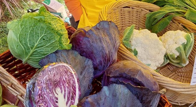 ©Facebook.com/CampagnAmicaLiguria