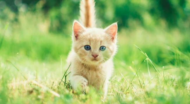 © Unsplash / Andriyko Podilnyk