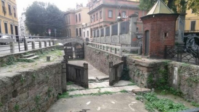 Laura Cusmà Piccione