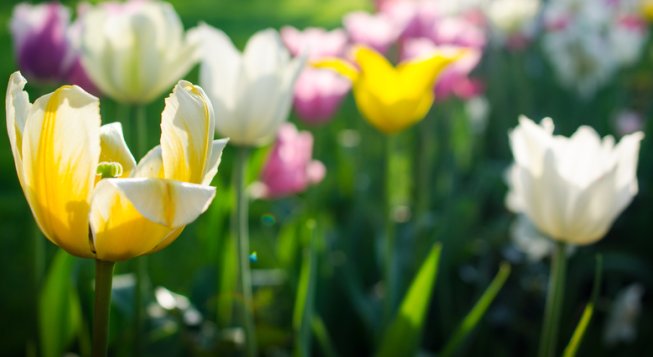 © shutterstock