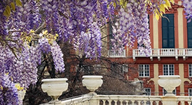 ©Facebook.com/museidigenova