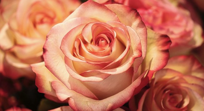 ©Fietzfotos - Pixabay