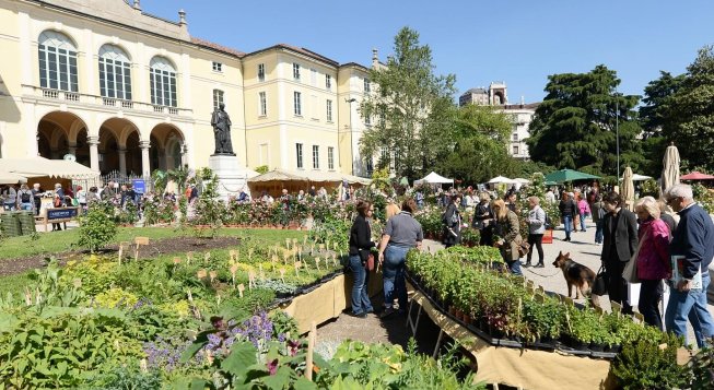 © facebook.com/Orticola