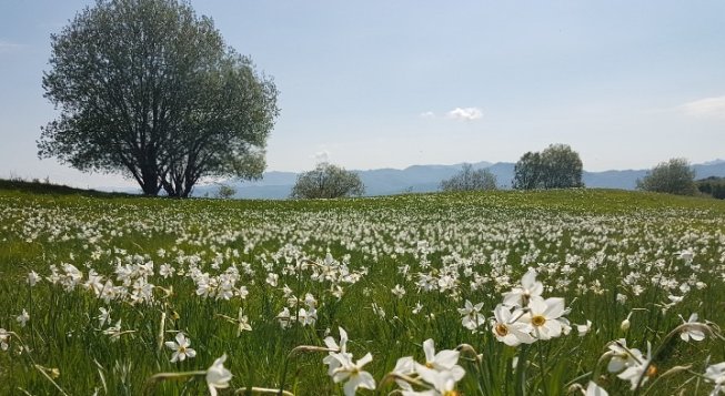 ©Facebook.com/parco.antola