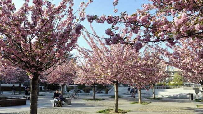 Flickr.com / Comune di Milano