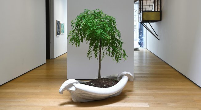 © Michele Alberto Sereni