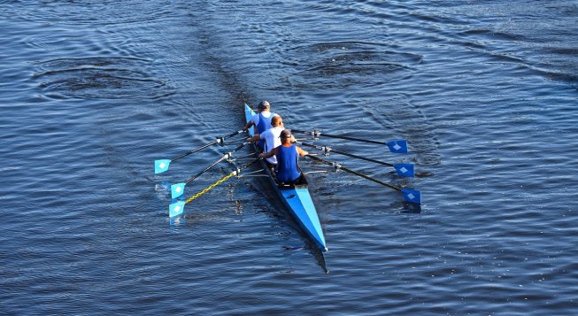 ©MabelAmber - Pixabay