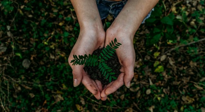 © Unsplash / Noah Buscher