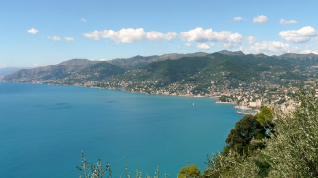 Davide Papalini, wikipedia commons