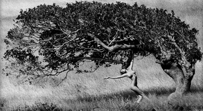© Marco Glaviano