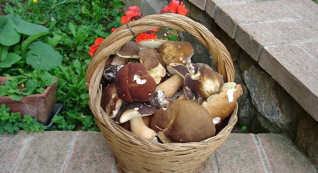 ©Federico Lorenzini - Flickr.com