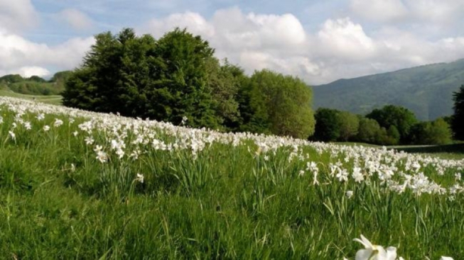 facebook.com/parco.antola