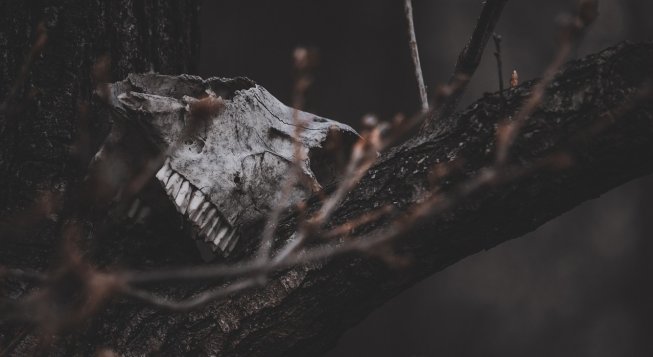 ©Astaroth343 - Pixabay