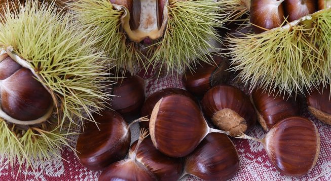 ©Federicomaderno - Pixabay