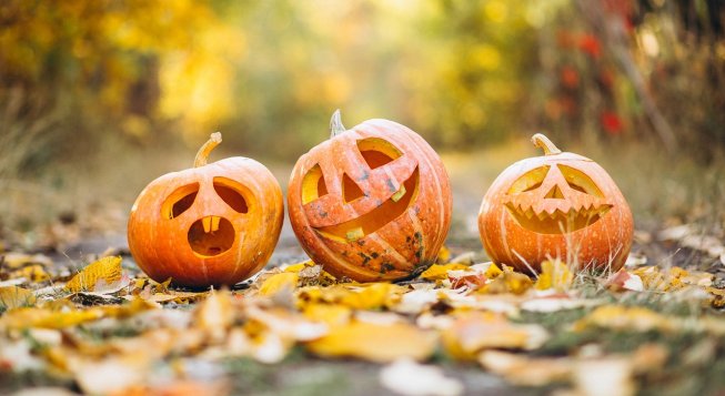 ©Gadgemayur - Pixabay