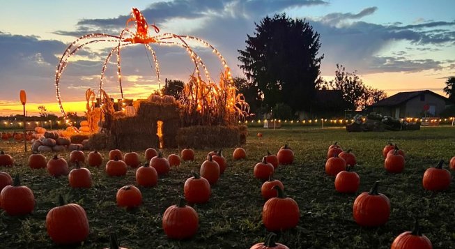 © Shirin / Facebook