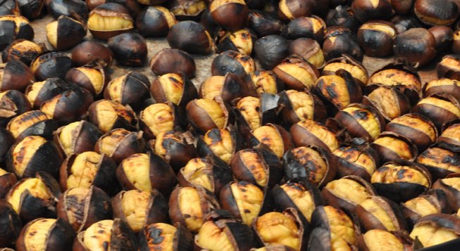 ©Michele Petraccini - Flickr.com