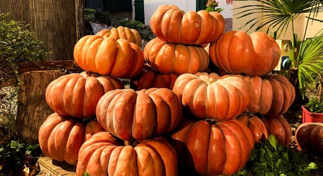 ©facebook.com/visitgenoa