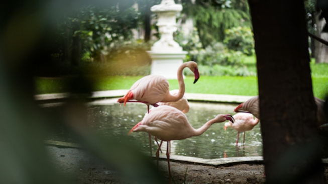 Flickr / Luca Sartoni