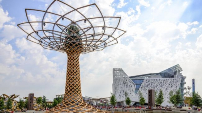 shutterstock