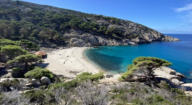 Montecristo Cala Maestra © Pnat Mb