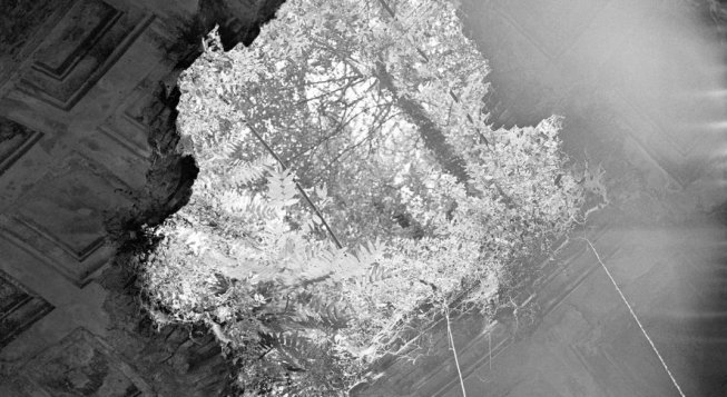 Untitled (Cracked), da All things laid dormant (2024) © Casagrande Benedetta