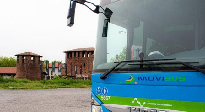 © movibus.it