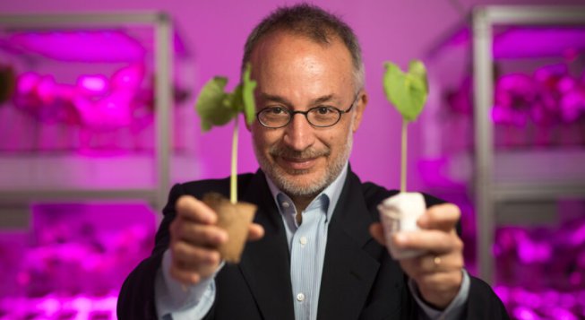 Stefano Mancuso © Alessandro Moggi Studio