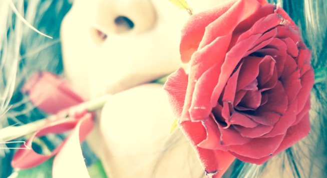 © shutterstock