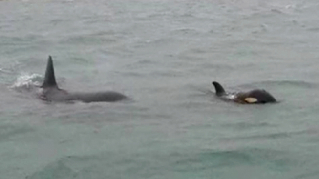 facebook.com/centrometeoligure