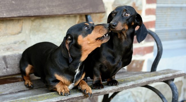 ©Congerdesign - Pixabay