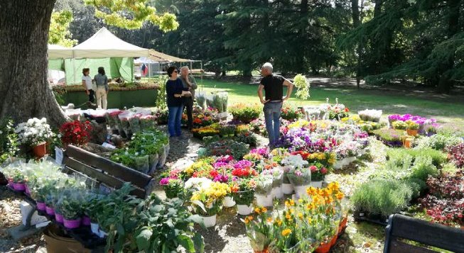 ©Florartearenzano.com/florarte