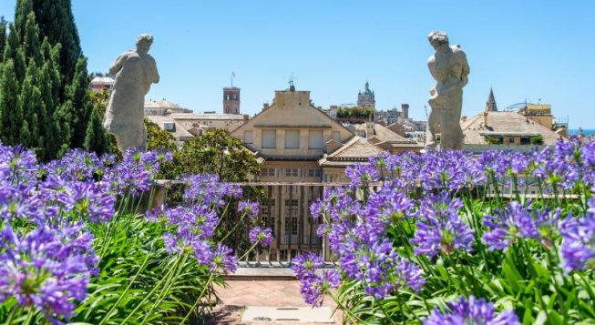 ©I. Murtas - Palazzo Nicolosio Lomellino