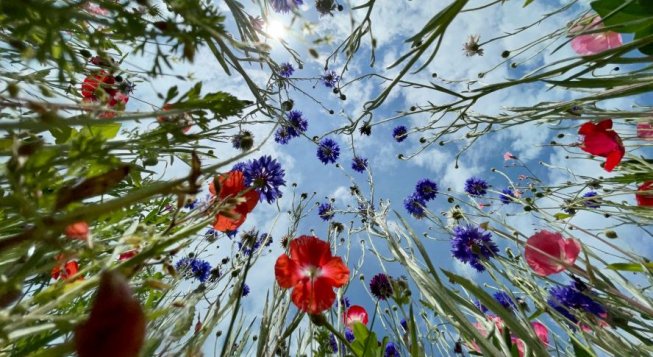 © Mick De Paola / Unsplash