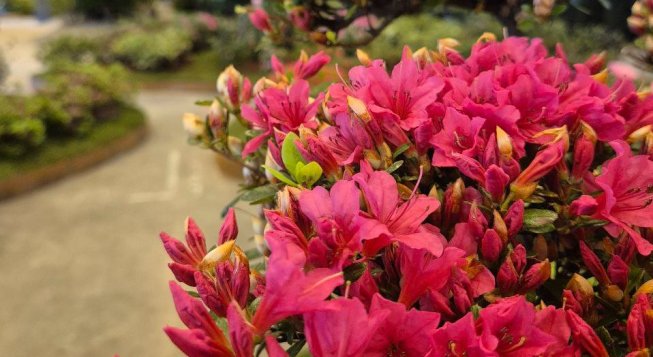 ©Facebook.com/ComunediGenova