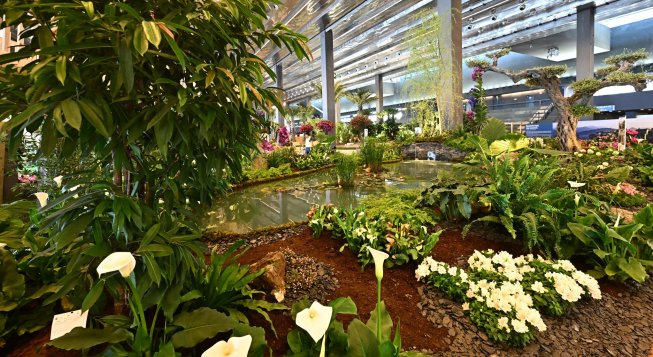 ©Facebook.com/buccipergenova - Euroflora 2025