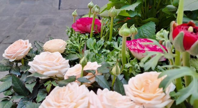 ©Facebook.com/Fior-Isteria del Molo