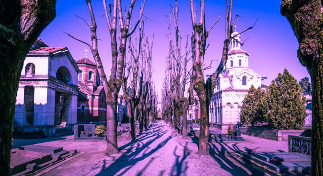 © shutterstock